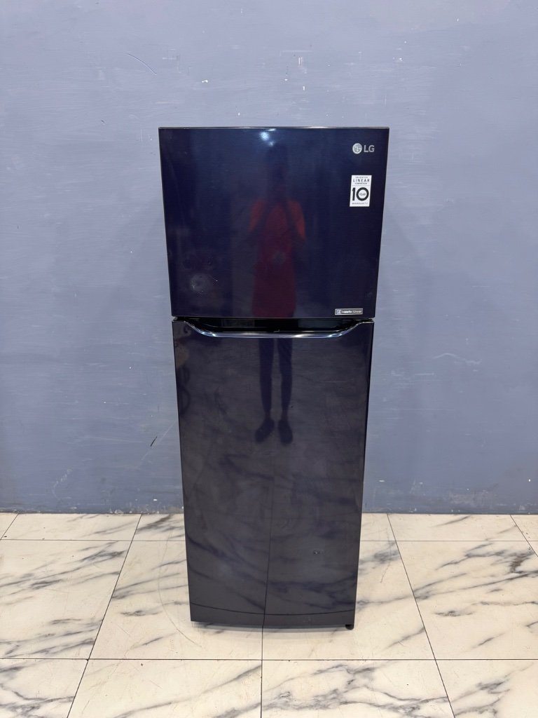 LG 冰箱 雙門 315L
