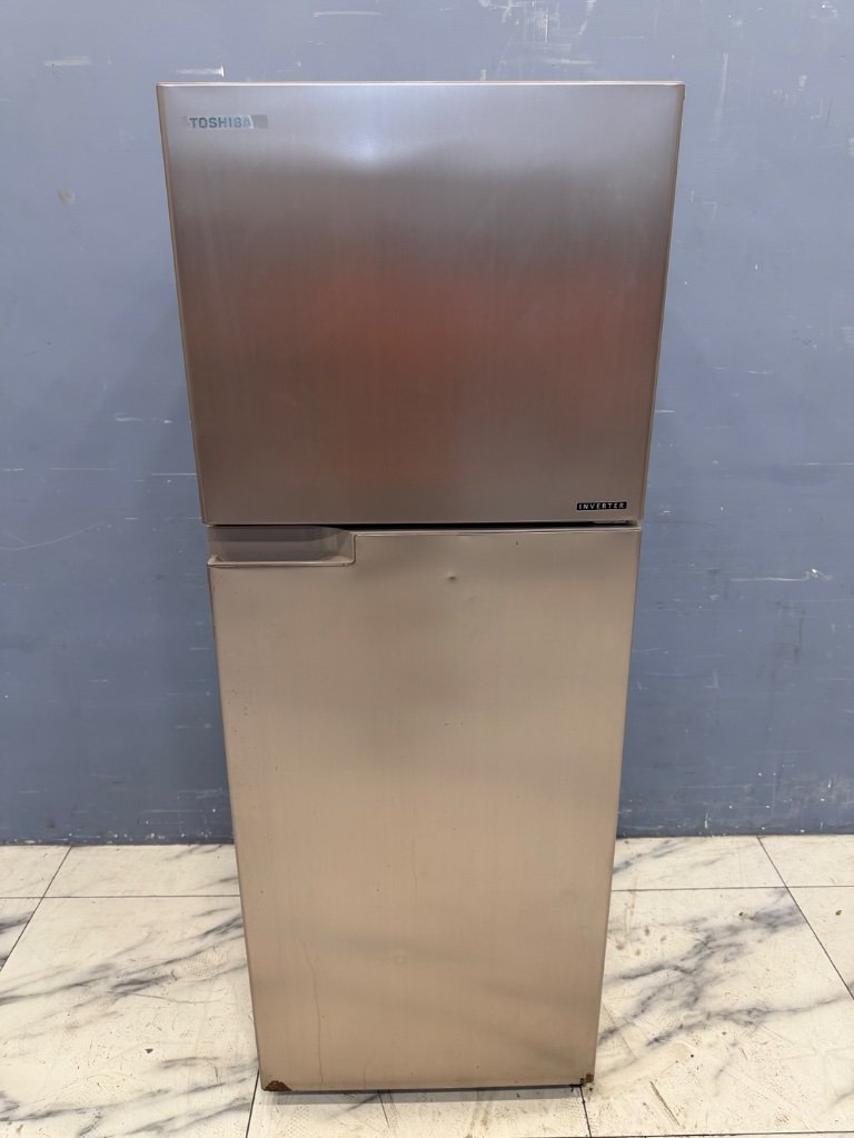 東芝 TOSHIBA 冰箱 雙門 305L