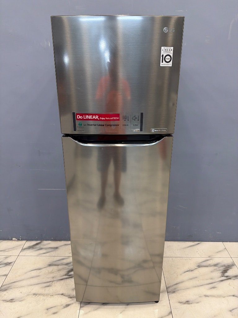 LG 冰箱 雙門 253L